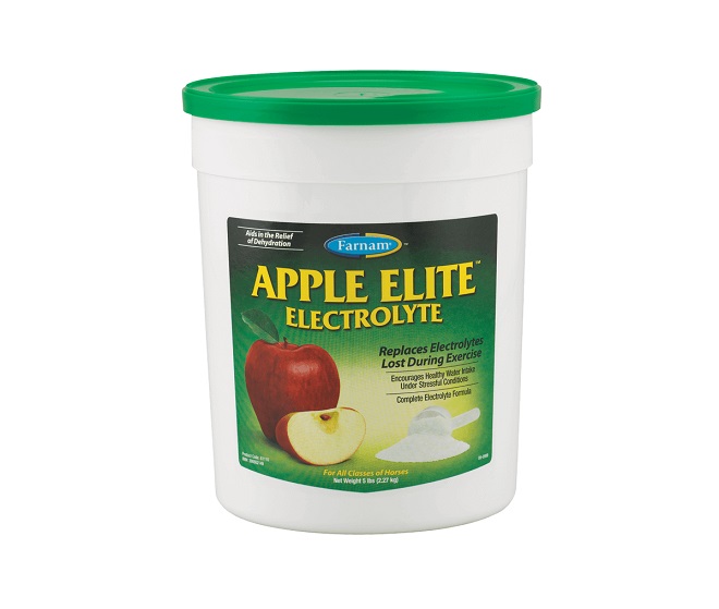 ELETTROLITI IN POLVERE ALLA MELA 2,27 KG APPLE ELITE  